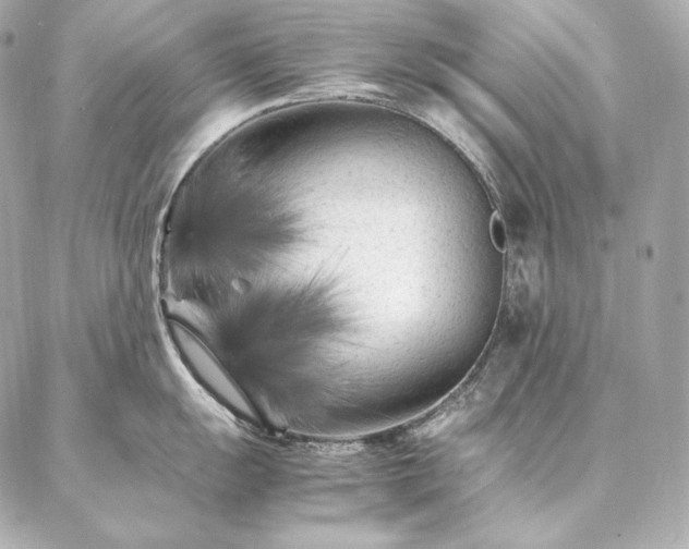 X0000086971055200704231511