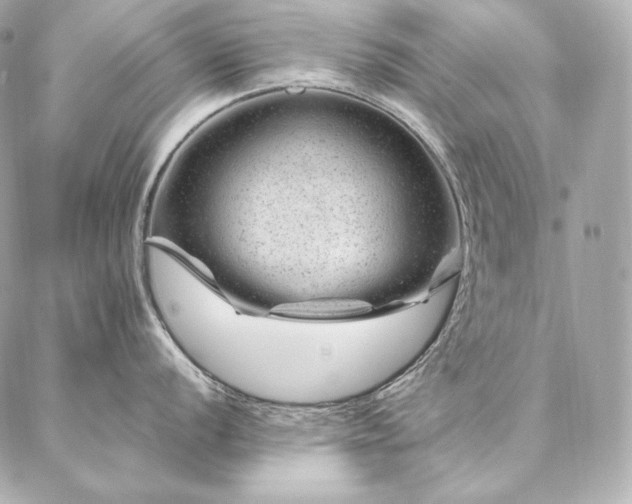 X0000086971056200704231511