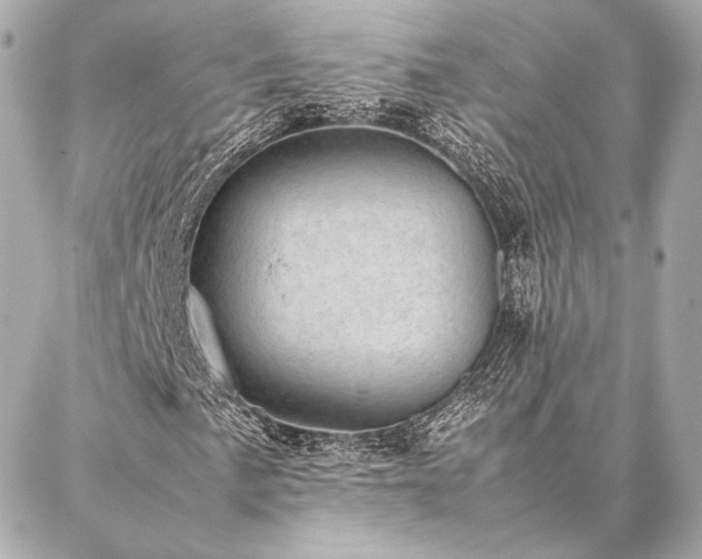 X0000086971057200704231510