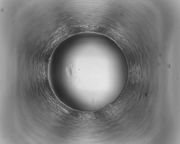 X0000086971058200704231510