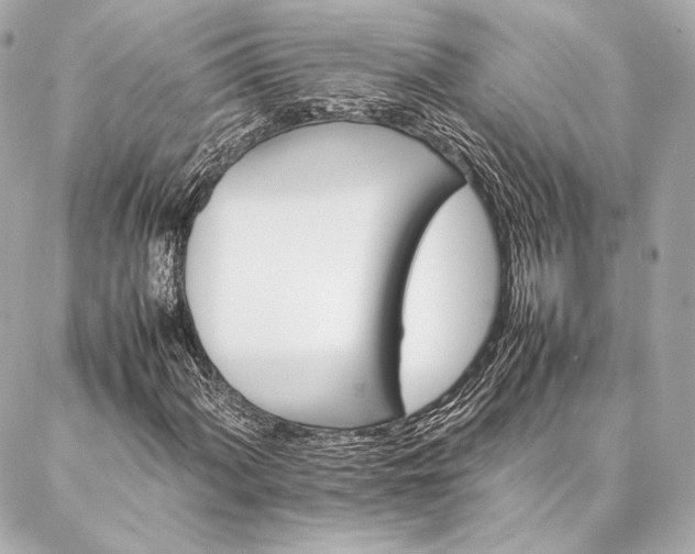 X0000086971060200704231510