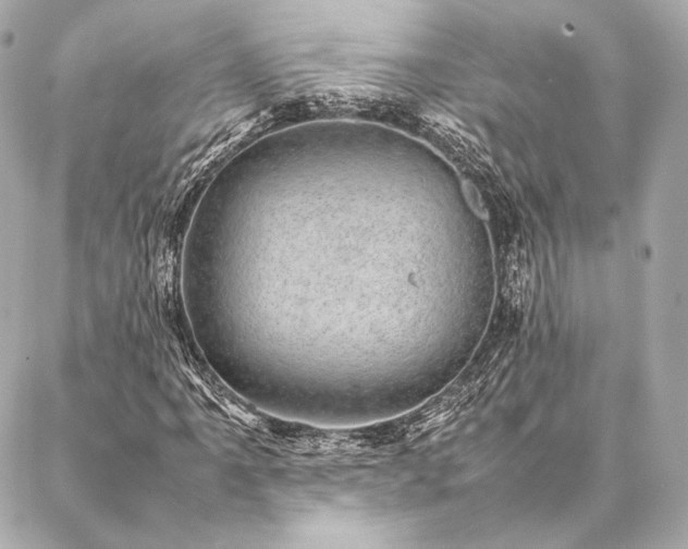 X0000086971061200704231510