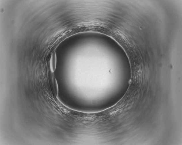 X0000086971062200704231510