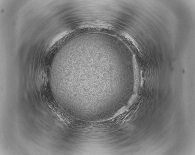 X0000086971064200704231510