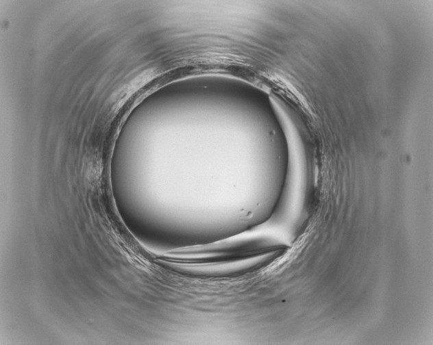 X0000086971065200704231510