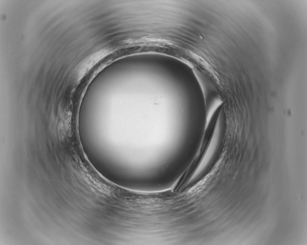 X0000086971066200704231510