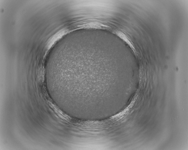 X0000086971067200704231510