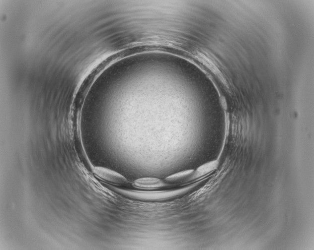 X0000086971068200704231510