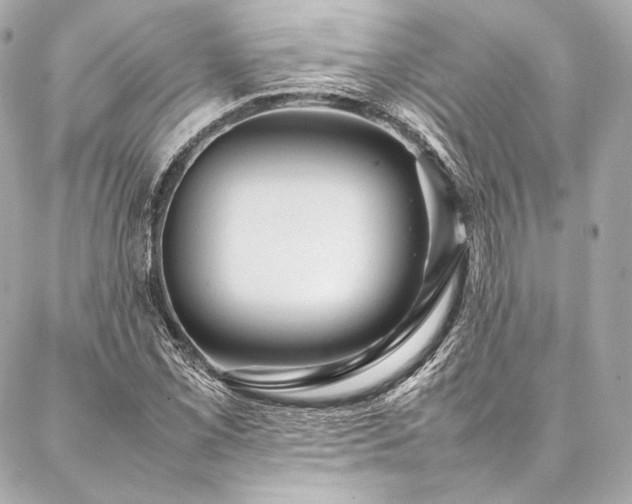 X0000086971069200704231510