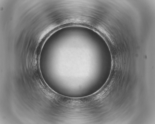 X0000086971070200704231510