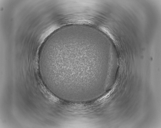 X0000086971071200704231510