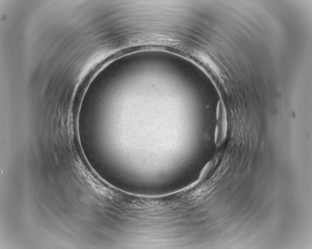 X0000086971072200704231510