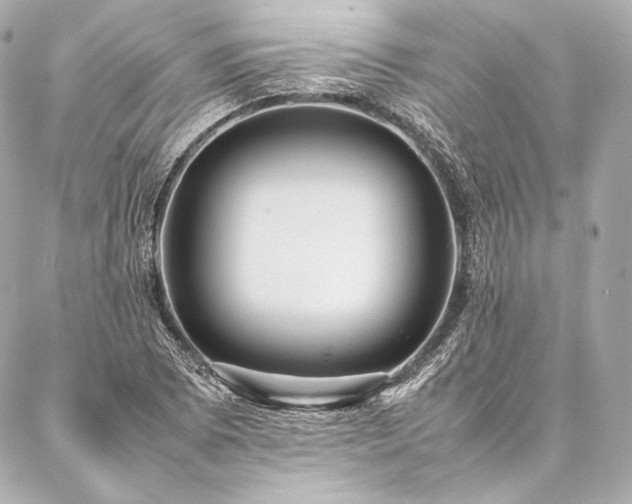 X0000086971073200704231510