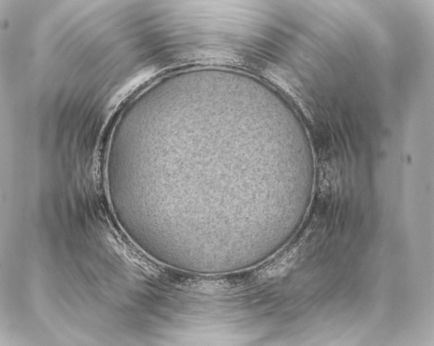 X0000086971074200704231510