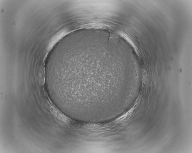 X0000086971075200704231510