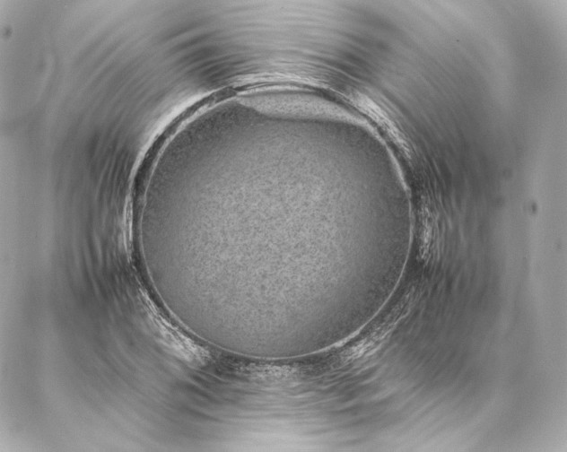 X0000086971076200704231510