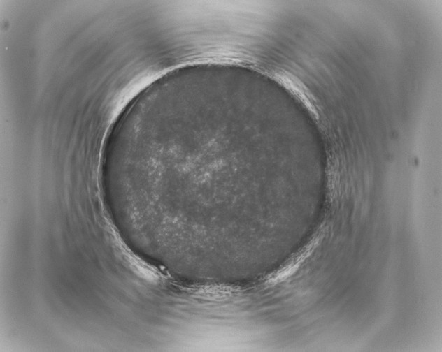 X0000086971077200704231510