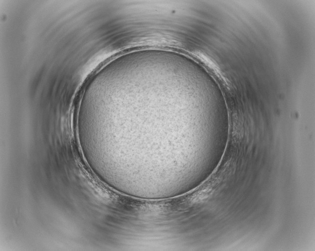 X0000086971078200704231509