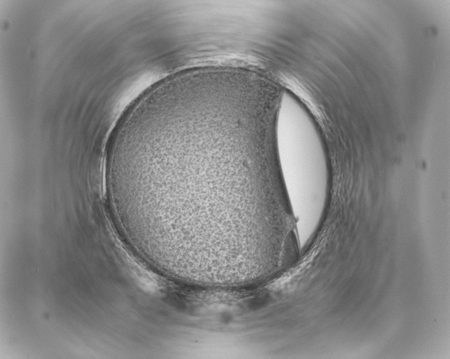 X0000086971079200704231509