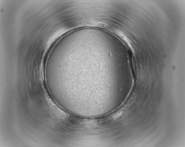 X0000086971080200704231509