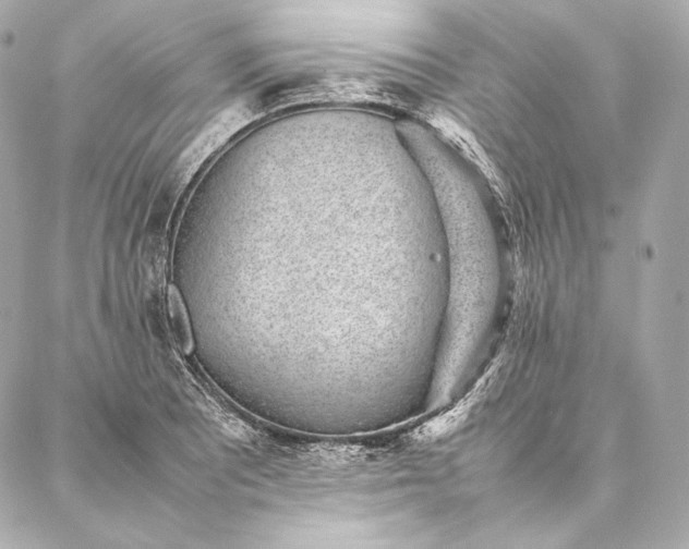 X0000086971081200704231509