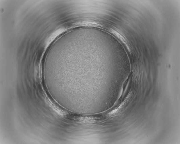 X0000086971082200704231509