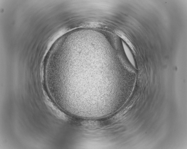 X0000086971083200704231509