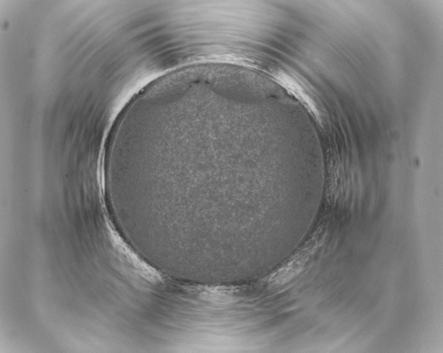 X0000086971084200704231509