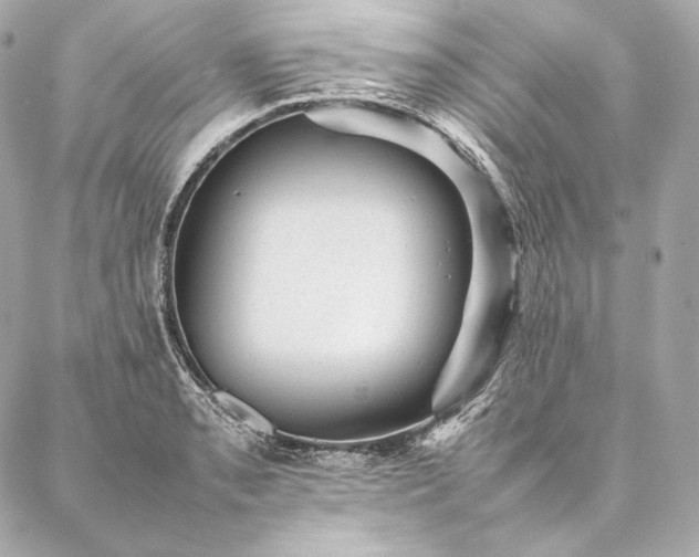 X0000086971085200704231509