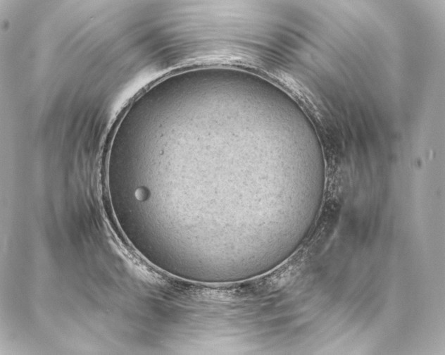 X0000086971086200704231509