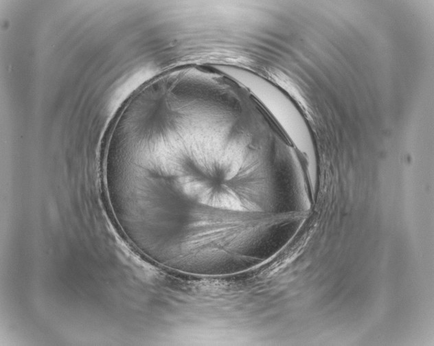 X0000086971087200704231509