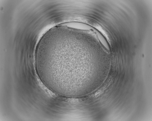 X0000086971088200704231509