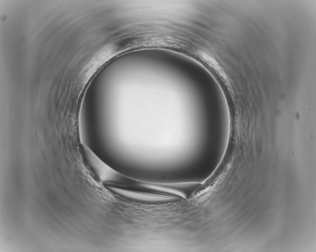 X0000086971089200704231509