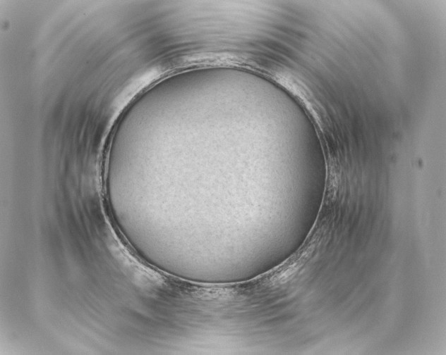 X0000086971090200704231509