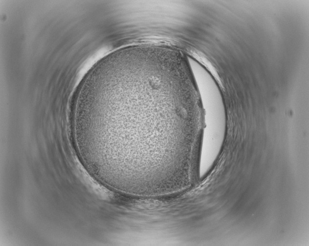 X0000086971091200704231509