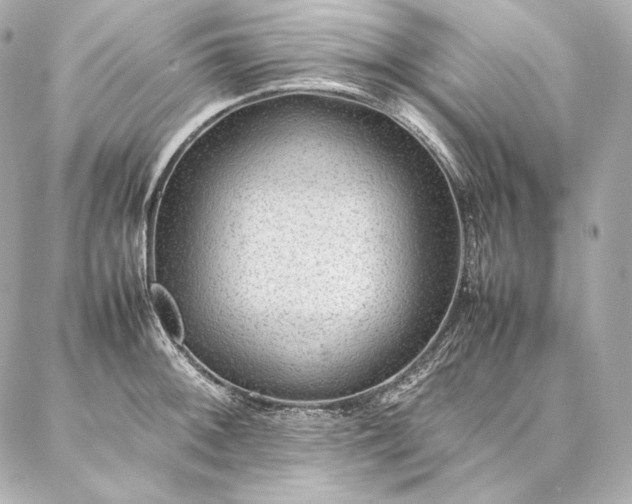 X0000086971092200704231509