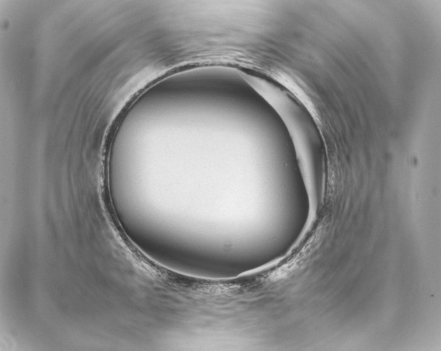 X0000086971093200704231509