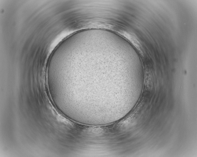 X0000086971094200704231509