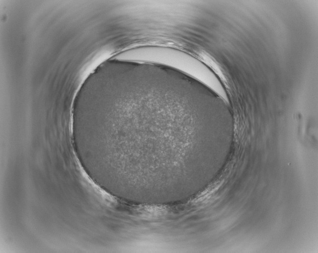 X0000086971095200704231509