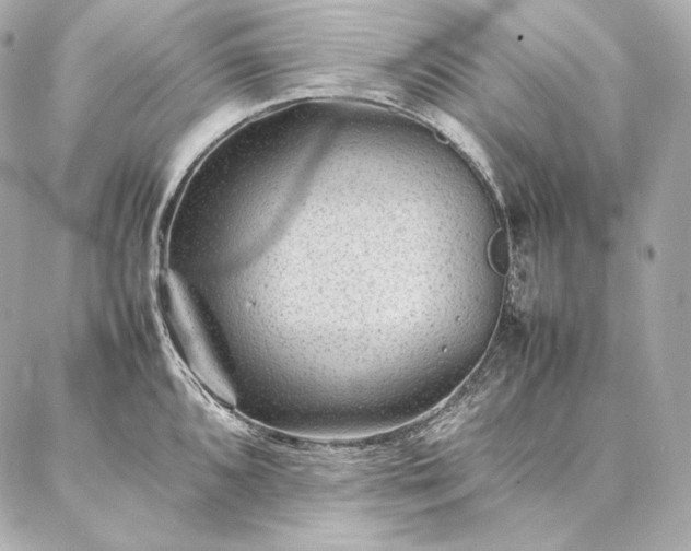 X0000086971096200704231509