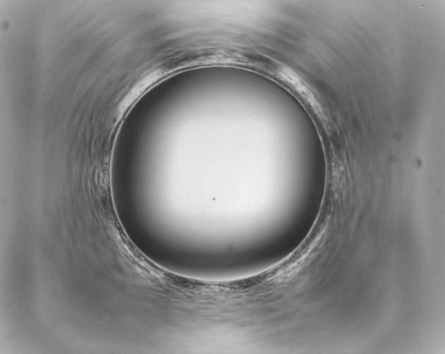 X0000086971097200704231509