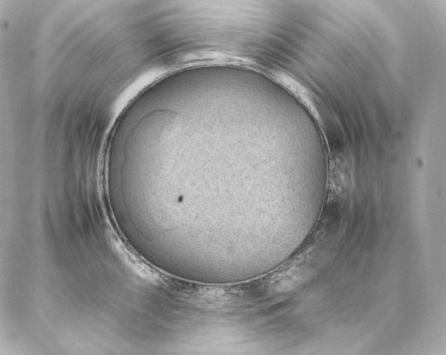 X0000086971098200704231509