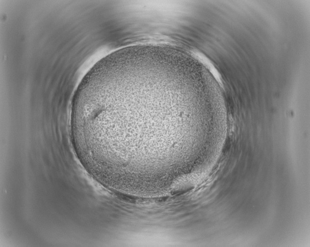 X0000086971099200704231509