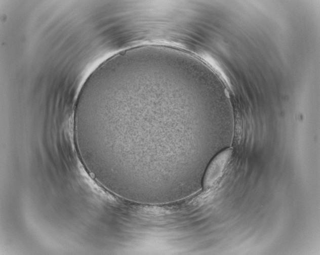 X0000086971100200704231509