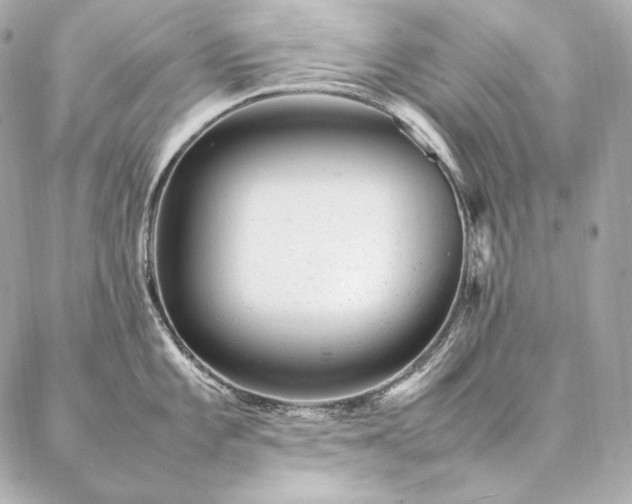 X0000086971101200704231509