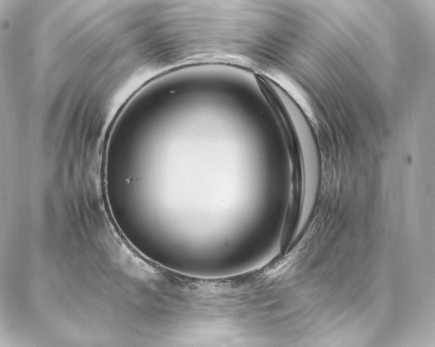 X0000086971102200704231509