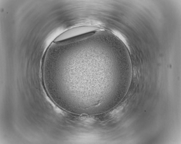 X0000086971103200704231509