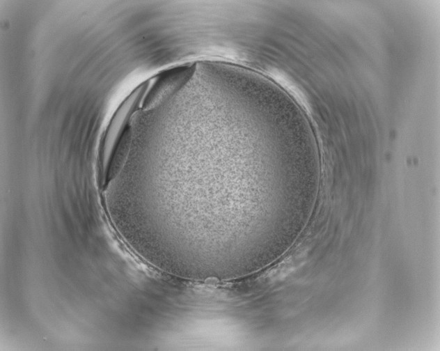 X0000086971104200704231509