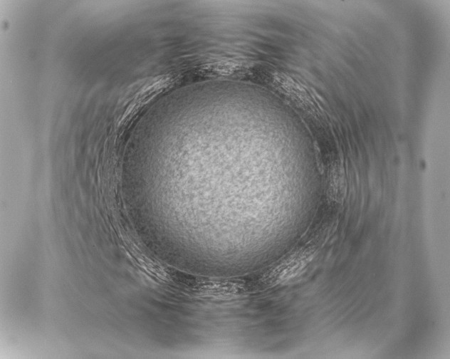 X0000086971105200704231508