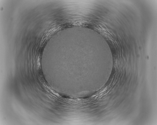 X0000086971106200704231508